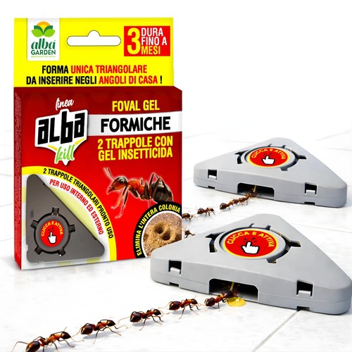 Trappola formiche con gel - formiche,