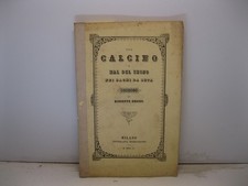 GRASSI Giuseppe, Sul calcino o