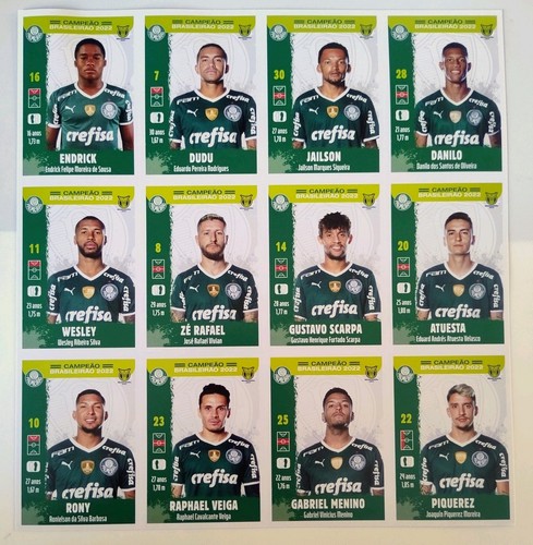 Poster palmeiras campione - palmeiras,