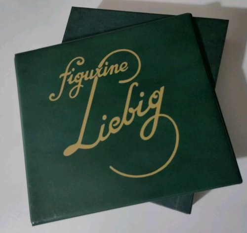 Album con custodia 10 pag - 1, custodia+10