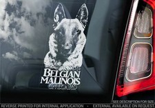 Adesivo auto belga Malinois -