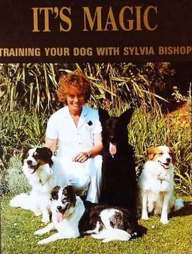 Dog training - dog,