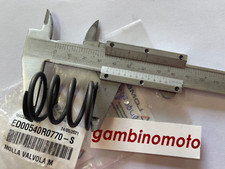 MOLLE VALVOLE MOTORE RUGGERINI