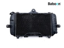 Radiator Yamaha TDM 850