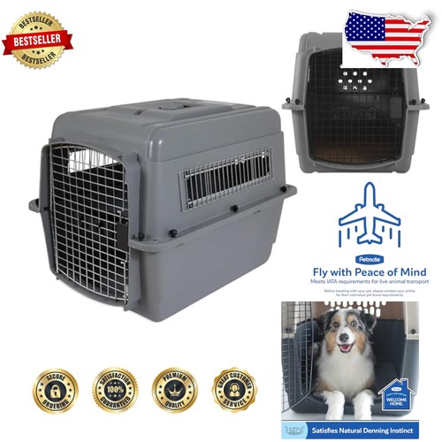 Sky kennel pronto - kennel:, il