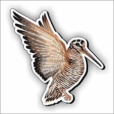 adesivo beccaccia dog car