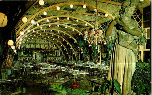 Kapor tree inn clearwater - tree, inn,