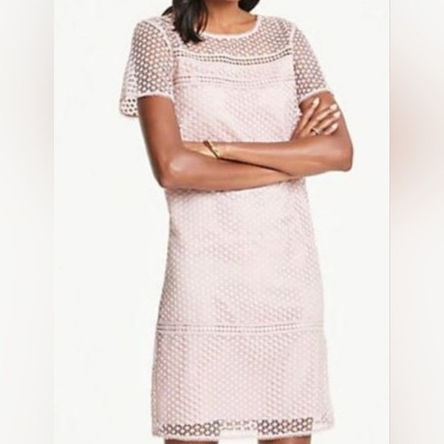 Abito ann taylor shift nuovo - abito,