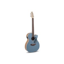 APPLAUSE - AEO-69-B - Chitarra
