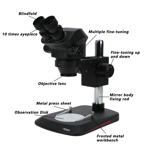 Microscopio stereo
