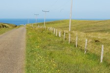 Photo 12x8 Road leading to