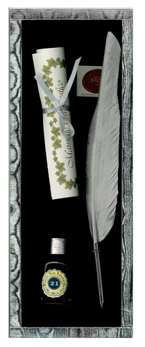 Set piuma argento con pennino - set,