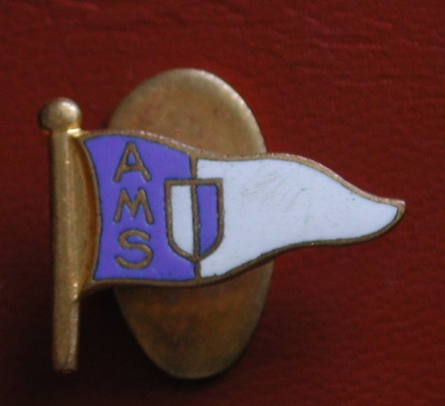 Distintivo bandiera smalti - distintivo/bandiera,