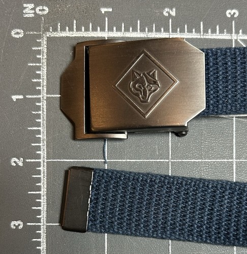 Cuccioli lupo ragazzo scout - ragazzo, of