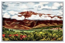Cartolina in lino Colorado
