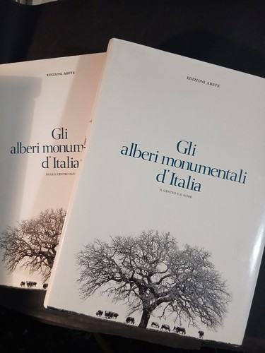 Gli alberi monumentali - alberi,