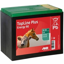 Batteria a Secco 9v Pila Salina 55 90 130Ah Rete Elettrificata Recinto Elettrico