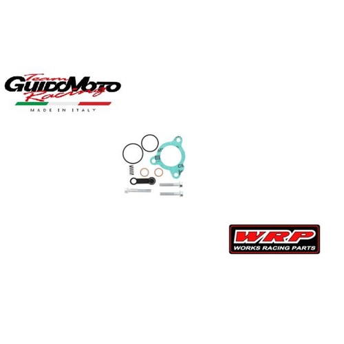 Revisione attuatore frizione - attuatore,