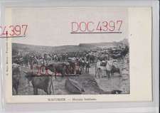 MACOMER NUORO FIERA MERCATO