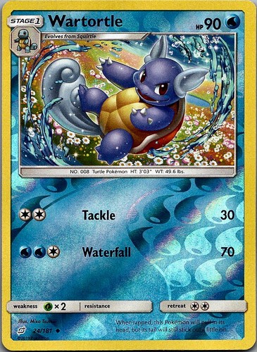 Wartortle tsutsui team up - tsutsui,