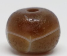 Antica medicina antica Rami