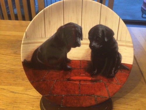 Black labrador dog plate - labrador,