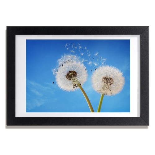 Tulup picture mdf framed - tulup,