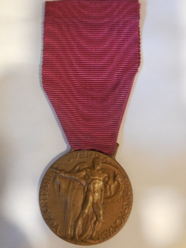 Medaglia per volontari di - i,