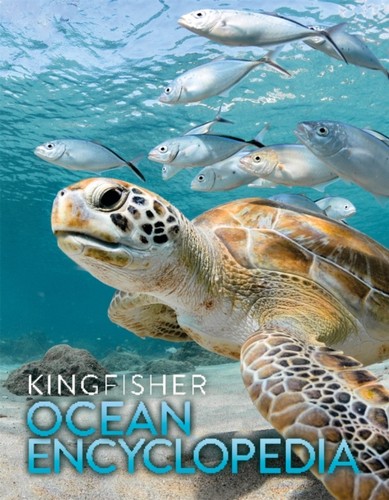 The kingfisher ocean - the,