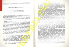 BANFI Enrico - FRATTINI Silvio