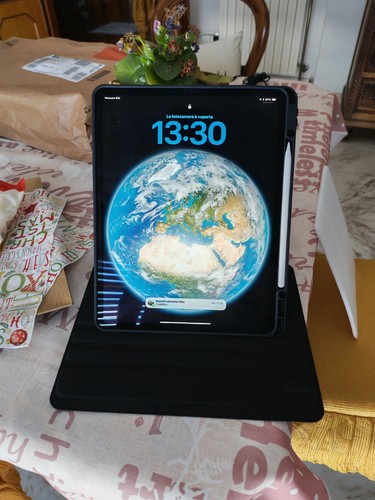 Apple ipad pro 4th 512 - apple,
