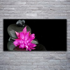 Quadri su Vetro Acrillico