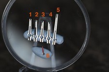 Assorted Rolex Daytona Steel