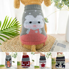 Maglione Cucciolo Chihuahua