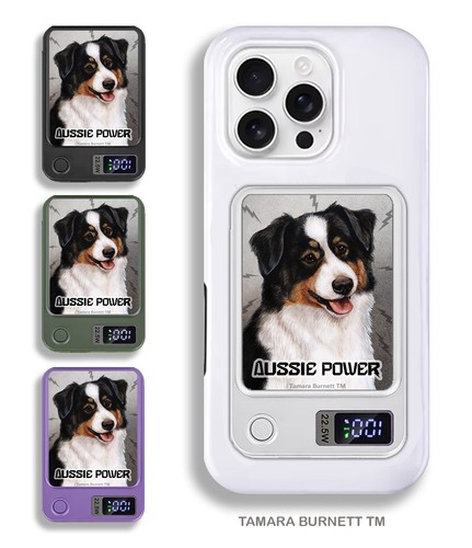 Australian shepherd banca - australian,