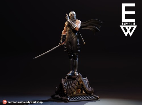 Ninja gaiden ryu hayabusa - gaiden,
