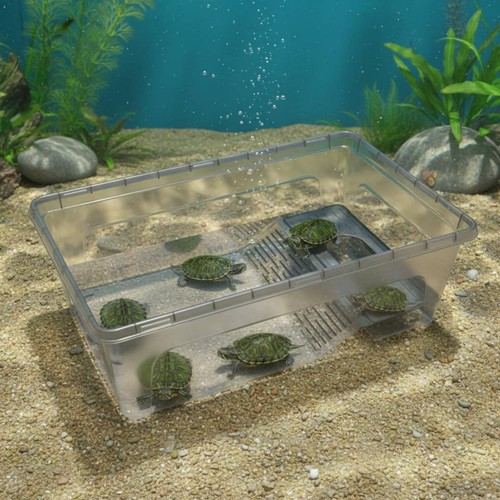 Tartarughiera plastica con - in,