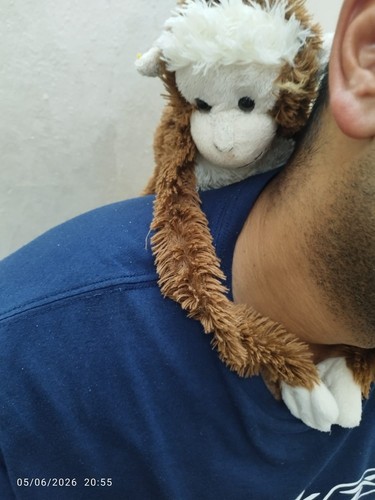 Peluche scimmia appendere - scimmia, da