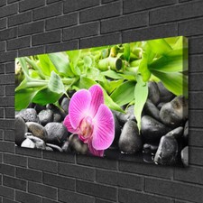 Moderni Astratti 100x50 Quadro