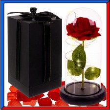 Rosa Eterna Stabilizzata Rossa