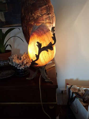 Lampada bronzo conchiglia - lampada,