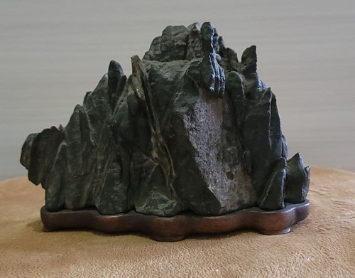 Bonsai suiseki bonseki - di,