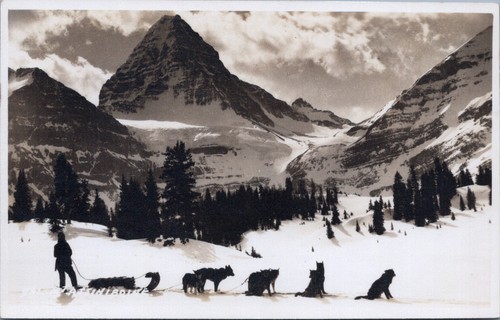 Mount assiniboine dog sled - mount,
