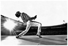 Stampa su tela Freddy Mercury