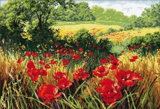 Kit punto croce contato Poppy