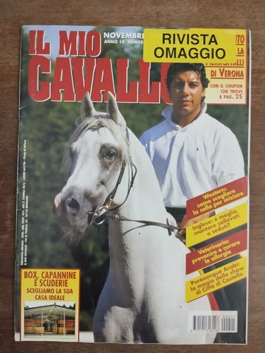 Mio cavallo 1999 anno - cavallo,