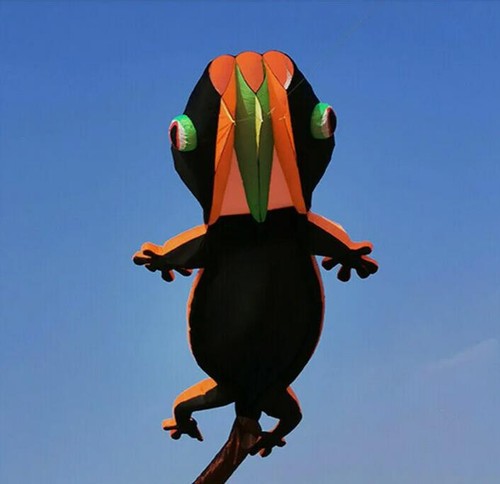 Aquilone gonfiabile morbido