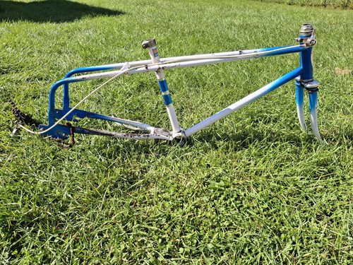 Forcelle telaio bici muscolare
