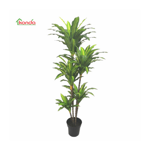 Pianta dracena artificiale 170 - dracena,