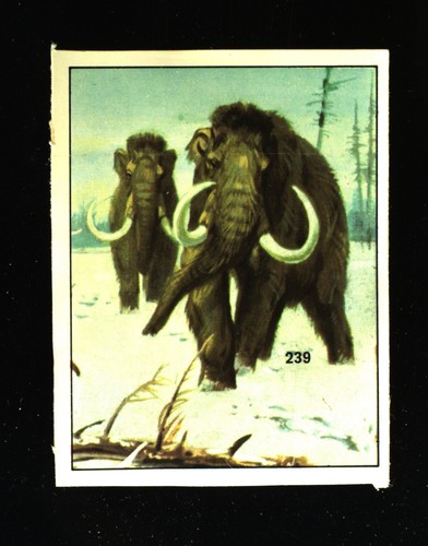 Animali preistorici - preistorici, (1974)